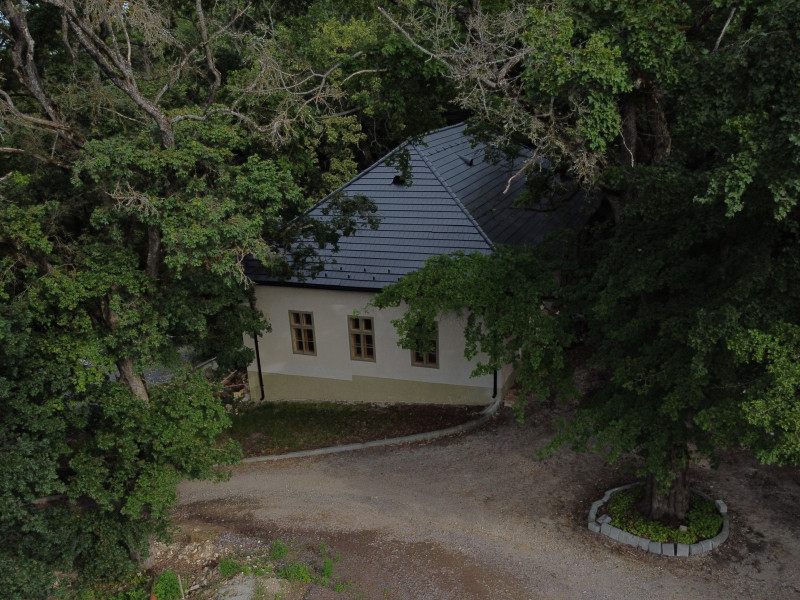 Fotó: Molnár Gergely