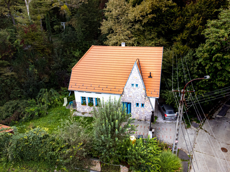 Fotó: Molnár Gergely