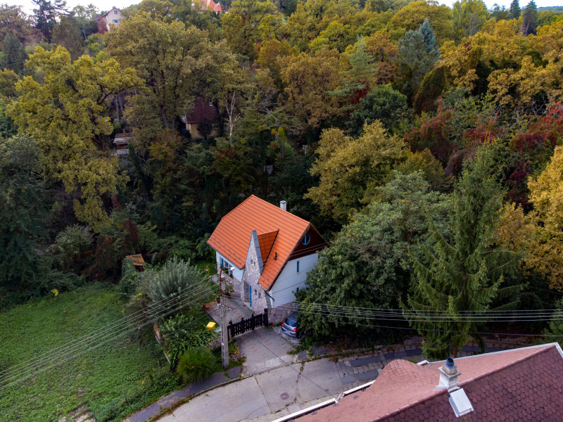 Fotó: Molnár Gergely