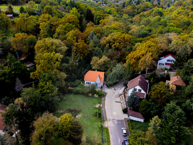 Fotó: Molnár Gergely