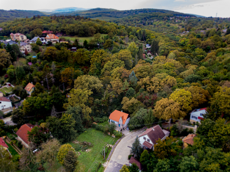 Fotó: Molnár Gergely